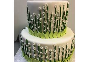 Cake